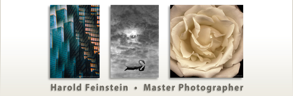 Harold Feinstein: Master Photographer at Lumiere, Atlanta